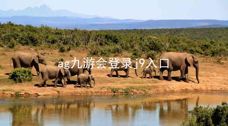 ag九游会登录j9入口